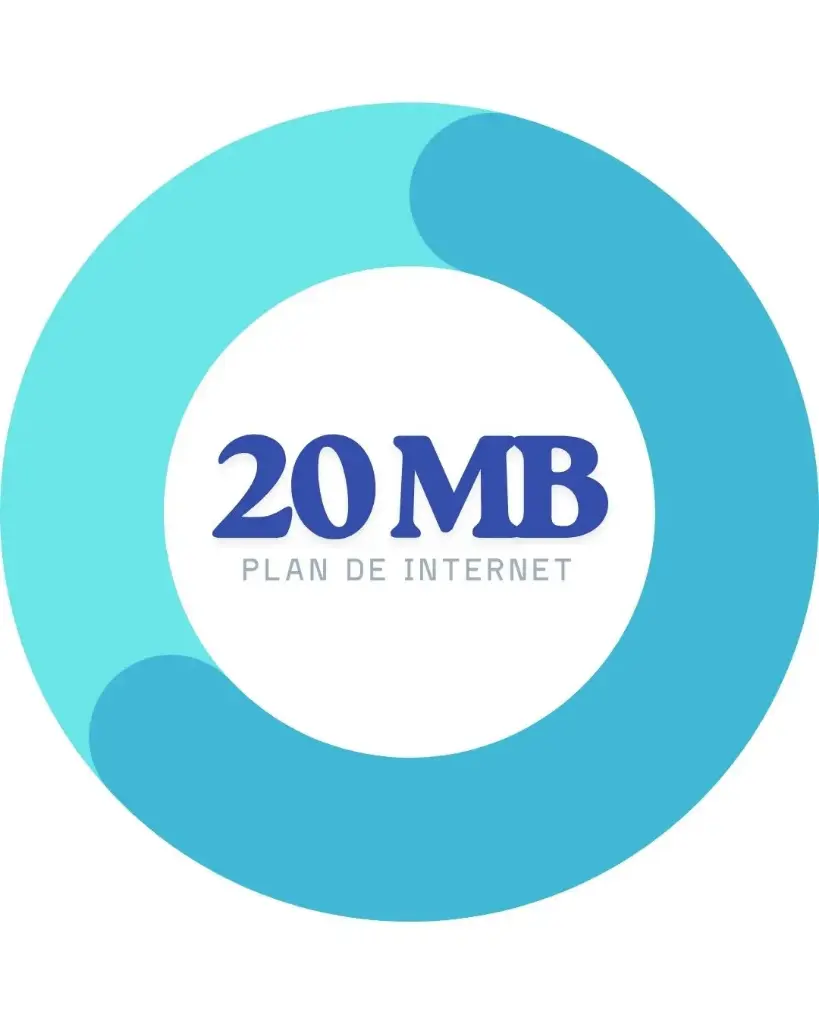 SERVICIO DE INTERNET